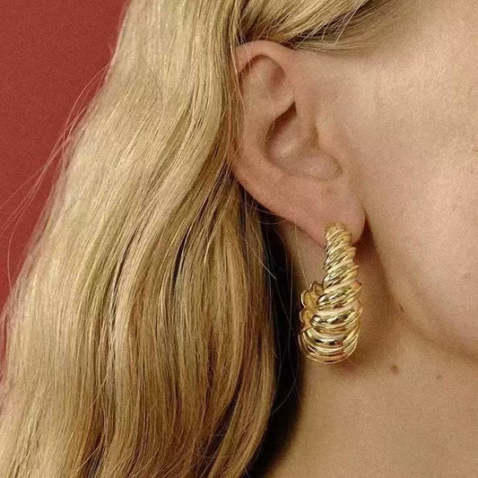 Elegant Horn Spiral C Earrings – INS Designer Style, Sophisticated Minimalist Light Luxury Jewelry for Women
