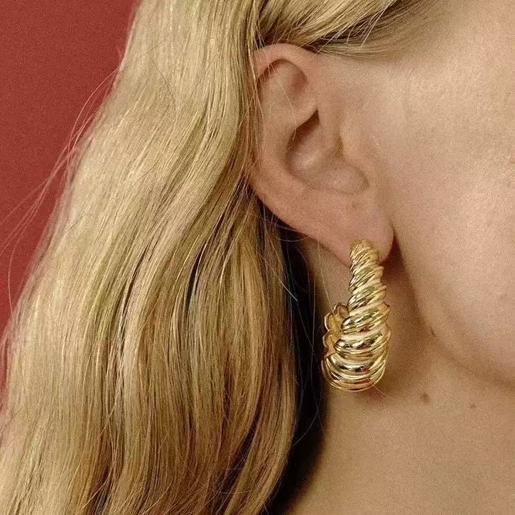 Elegant Horn Spiral C Earrings – INS Designer Style, Sophisticated Minimalist Light Luxury Jewelry for Women